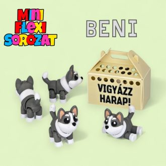Beni, a hűséges husky