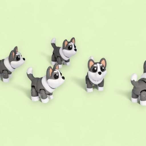 Beni, a hűséges husky
