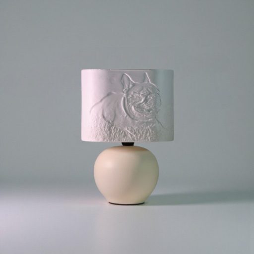 Aura fényképes lámpa - Panoráma