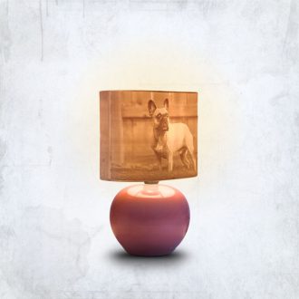 Aura fényképes lámpa - Panoráma Pink