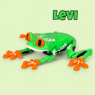 Levi, a kalandvágyó levelibéka