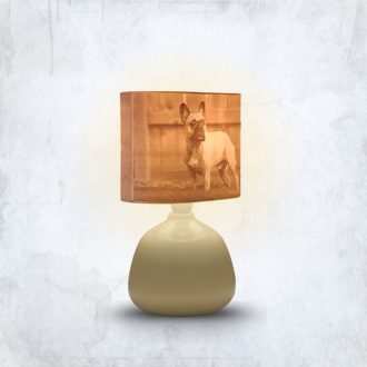   Személyre Szabott Fényképes 3D Lámpa - Egyedi Éjjeli Fény Saját Fotóval - Bézs Panoráma - Ellie