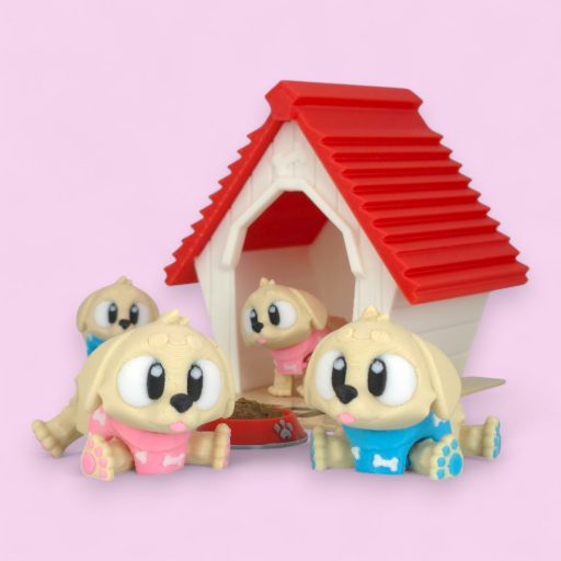 Buci, a golden retriever "M"