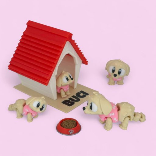 Buci, a golden retriever "L"