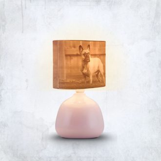   Személyre Szabott Fényképes 3D Lámpa - Egyedi Éjjeli Fény Saját Fotóval - Pink Panoráma - Ellie