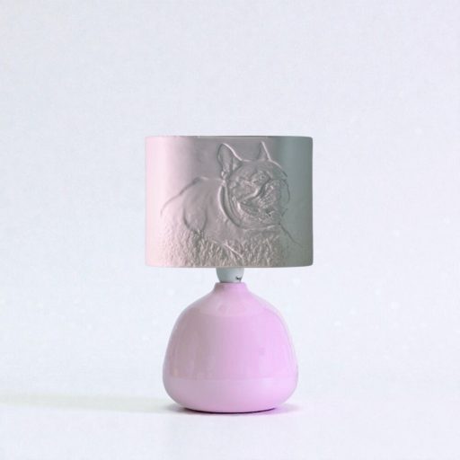 Személyre Szabott Fényképes 3D Lámpa - Egyedi Éjjeli Fény Saját Fotóval - Pink Panoráma - Ellie