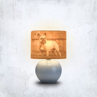 Aura fényképes lámpa - Panoráma szürke