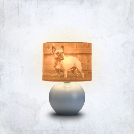 Aura fényképes lámpa - Panoráma szürke