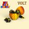 Volt, a villámsárkány