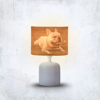   Személyre Szabott Fényképes 3D Lámpa - Egyedi Éjjeli Fény Saját Fotóval - Fehér Panoráma - Daphni